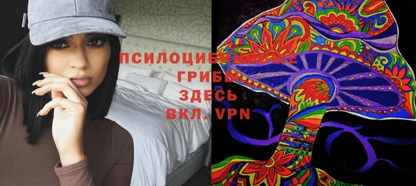 сатива Алексин