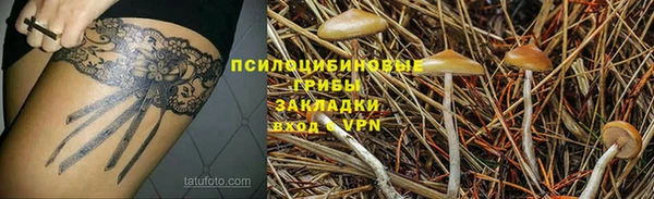 индика Алексеевка